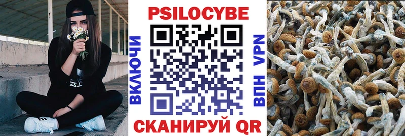 что такое   Благодарный  Псилоцибиновые грибы Cubensis 