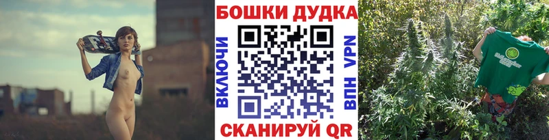 где продают наркотики  Благодарный  Шишки марихуана сатива 